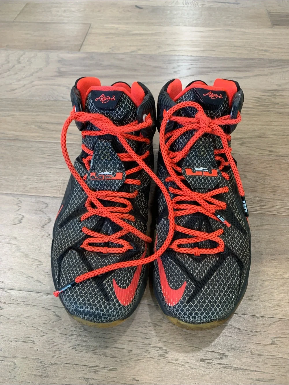 Nike James Lebron XII Instinct Basketball Shoes